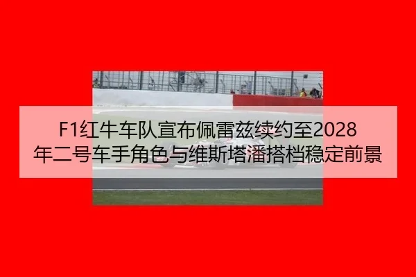 hong-niu-che-dui-xuan-bu-pei-lei-zi-xu-yue-zhi-nian-er-hao-che-shou-jue-se-yu-wei-si-ta-pan-da-dang-wen-ding-qian-jing-3-420.jpg